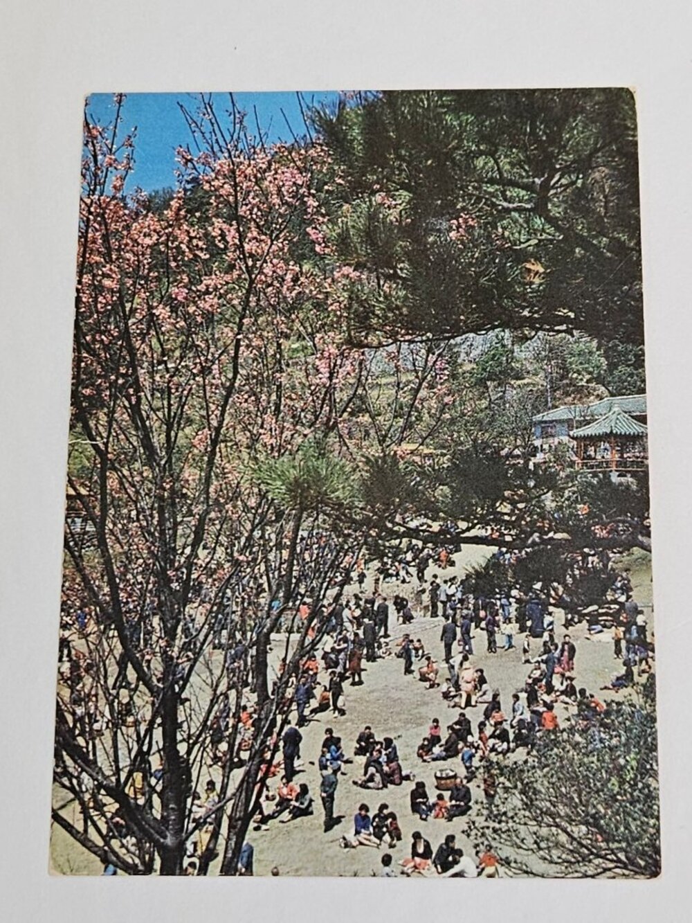 Yangmingshan National Park Taiwan Postcard